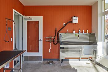The arbory apartments pet wash station